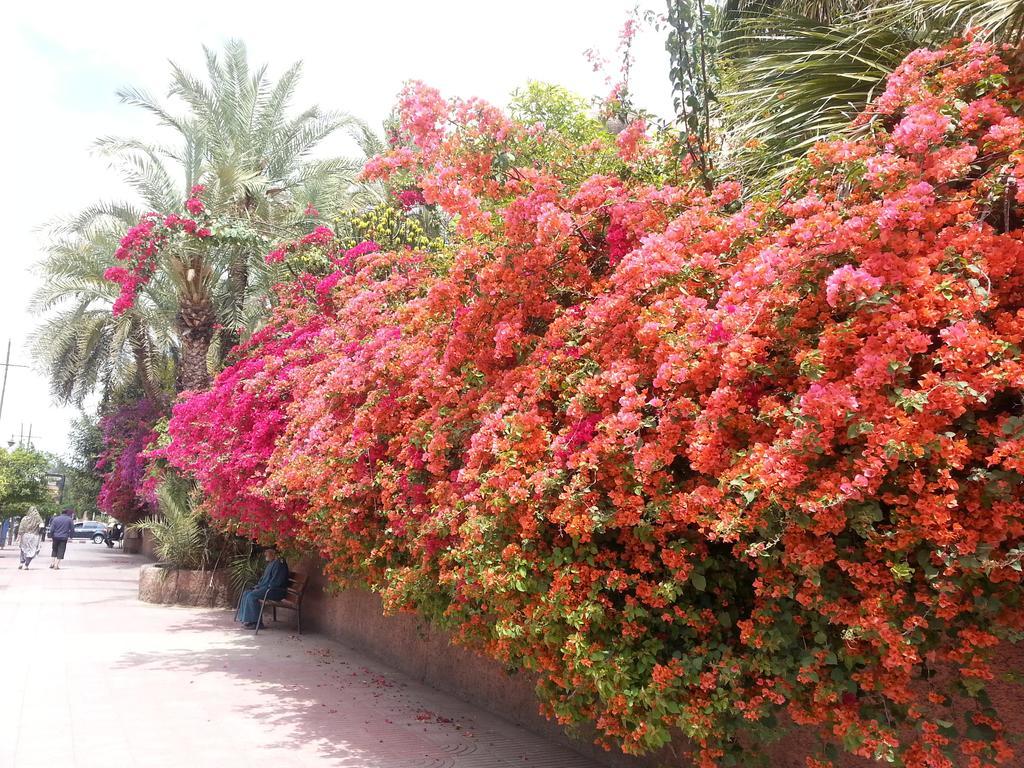 Riad Des Etoiles Marrakesh Exterior photo